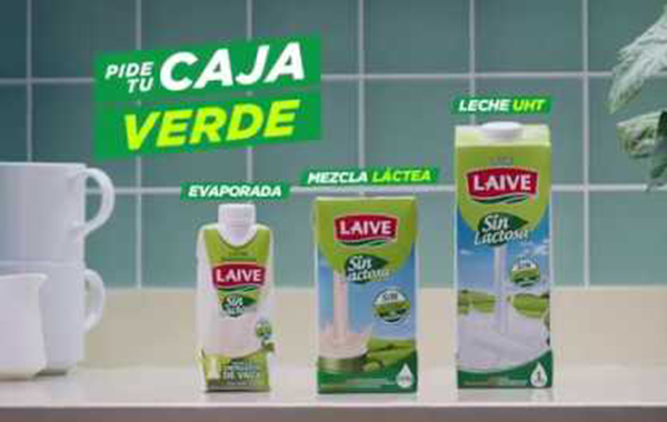 LAIVE VERDE | LAIVE